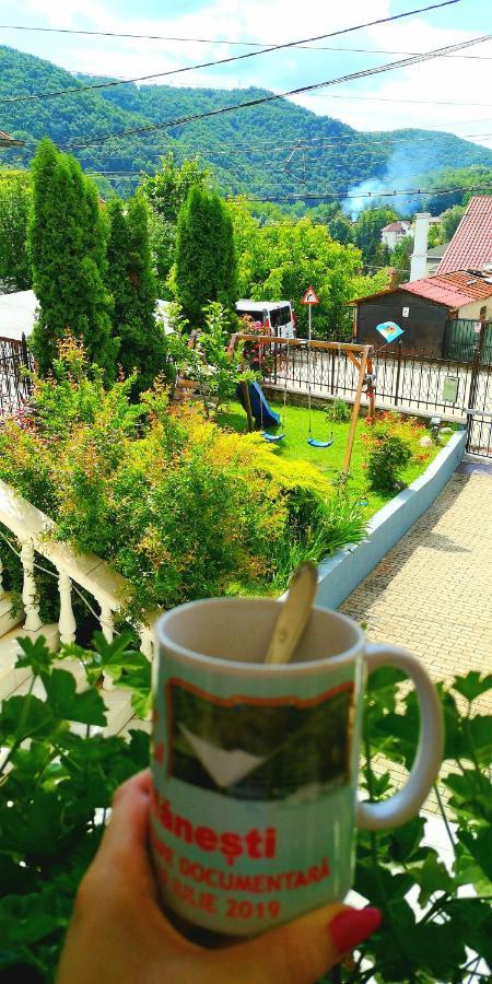Casa Giulia Hotel Băile Olăneşti Kültér fotó