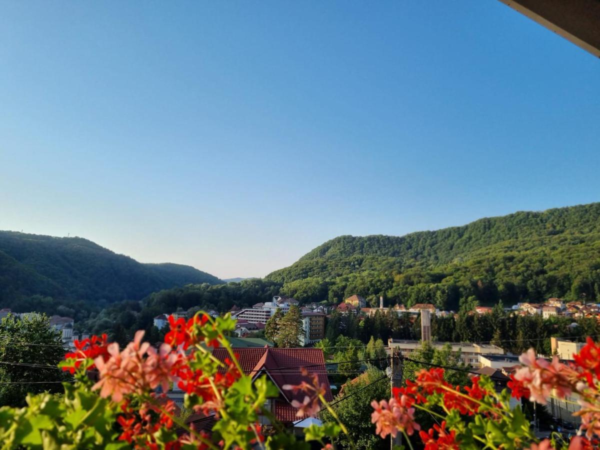 Casa Giulia Hotel Băile Olăneşti Kültér fotó