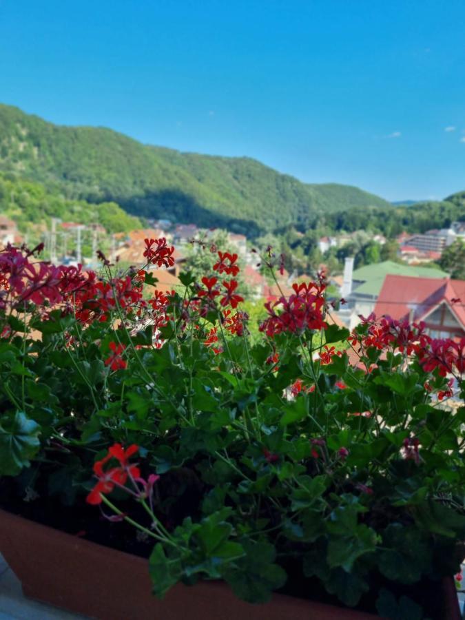 Casa Giulia Hotel Băile Olăneşti Kültér fotó